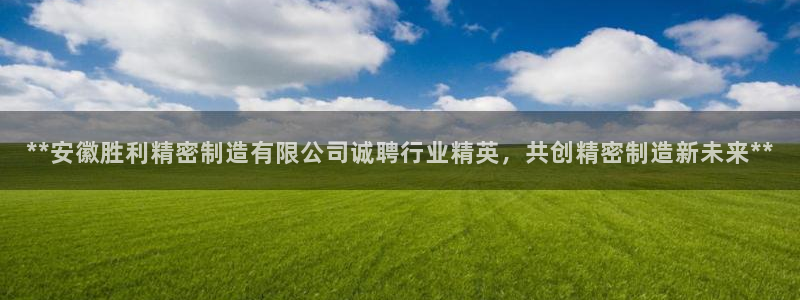 彩神是怎样一个平台：**安徽胜利精密制造有限公司诚聘行业精英，共创精密制造新未来**