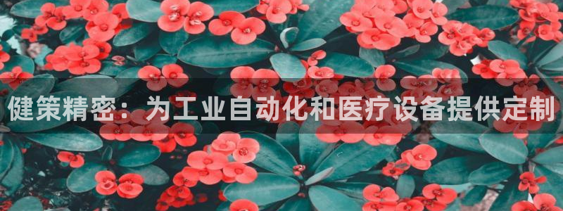彩神平台之间是什么关系：健策精密：为工业自动化和医疗设备提供定制