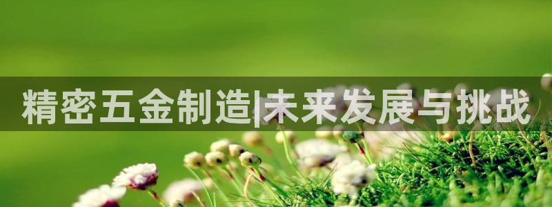 彩神这个平台是真的吗：精密五金制造|未来发展与挑战