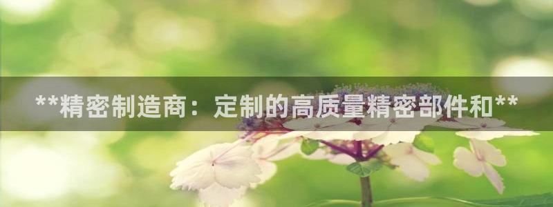 彩神购彩-购彩大厅入口计划群：**精密制造商：定制的高质量精密部件和**