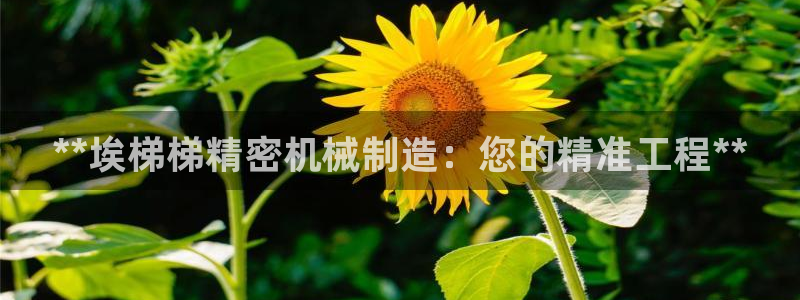 彩神怎么才能赢：**埃梯梯精密机械制造：您的精准工程**