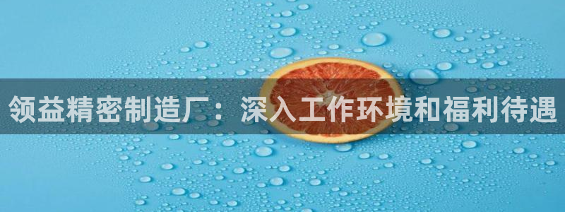 彩神是正规平台吗：领益精密制造厂：深入工作环境和福利待遇