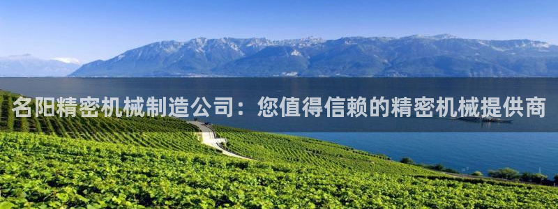 彩神是怎样一个平台：名阳精密机械制造公司：您值得信赖的精密机械提供商