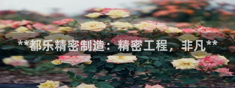 彩神v8手机客户端下载：**都乐精密制造：精密工程，非凡**