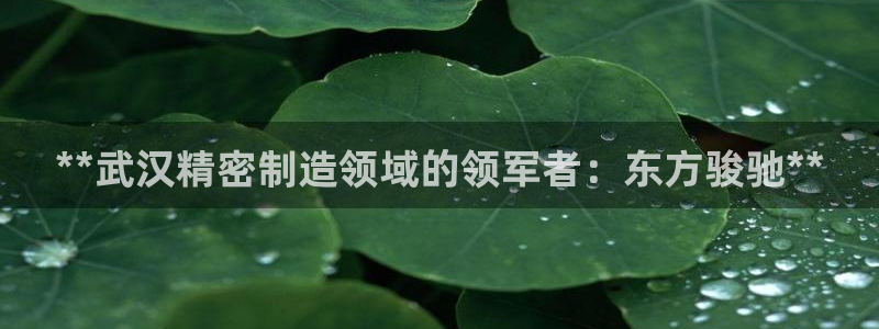 彩神数码科技有限公司：**武汉精密制造领域的领军者：东方骏驰**