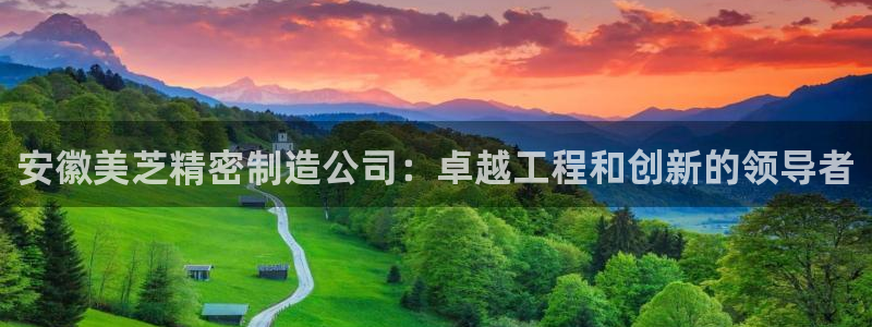 彩神v8下载：安徽美芝精密制造公司：卓越工程和创新的领导者