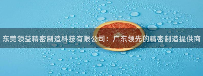 彩神旗下有哪些平台可以玩：东莞领益精密制造科技有限公司：广东领先的精密制造提供商