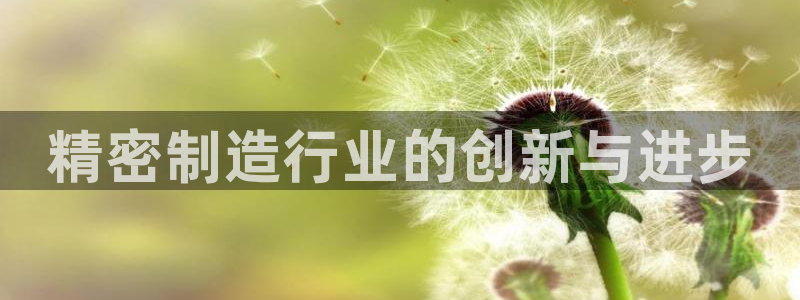 彩神vii官网大赢家：精密制造行业的创新与进步