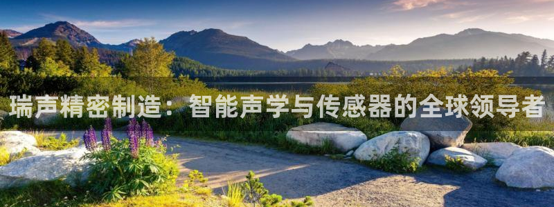 彩神v8是一个什么平台：瑞声精密制造：智能声学与传感器的全球领导者