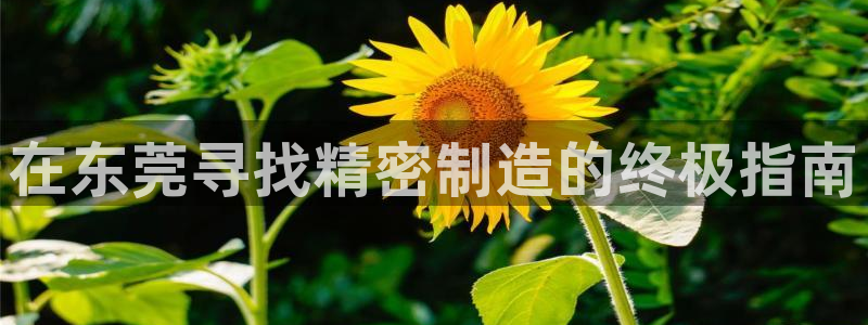 彩神是正规平台吗知乎：在东莞寻找精密制造的终极指南