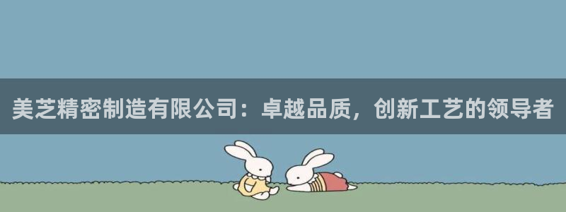 彩神输的钱是赌博还是诈骗：美芝精密制造有限公司：卓越品质，创新工艺的领导者