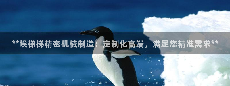 彩神v8平台正规吗知乎：**埃梯梯精密机械制造：定制化高端，满足您精准需求**
