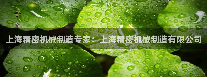 彩神ⅴll是什么样平台：上海精密机械制造专家：上海精密机械制造有限公司