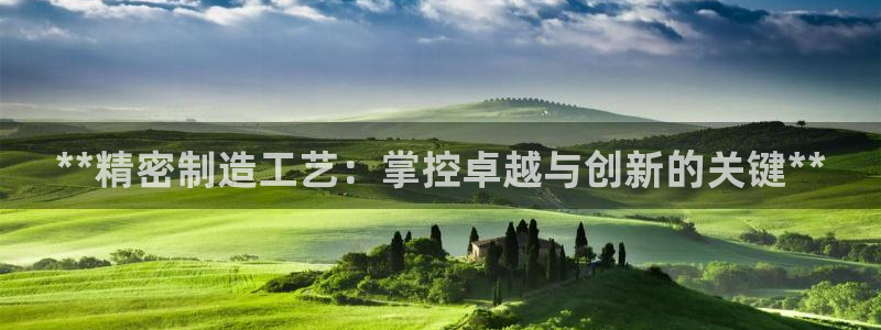 彩神赢的钱是哪里来的：**精密制造工艺：掌控卓越与创新的关键**