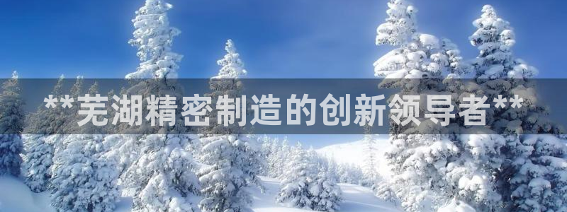 彩神 好 平台：**芜湖精密制造的创新领导者**