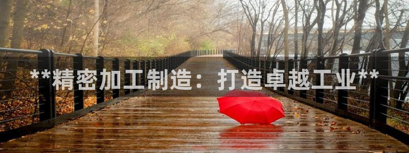 彩神旗下有哪些平台：**精密加工制造：打造卓越工业**