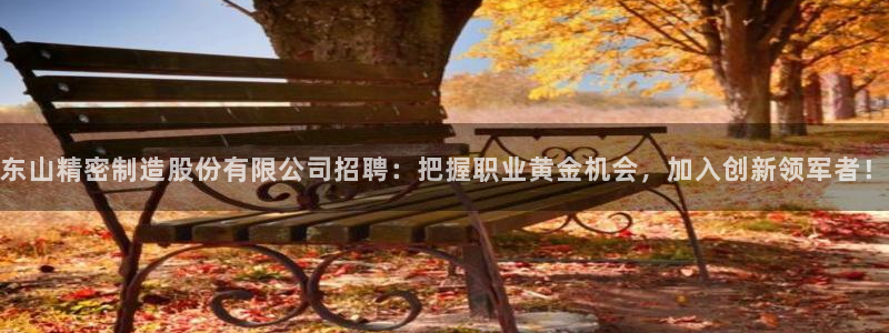彩神v天天：东山精密制造股份有限公司招聘：把握职业黄金机会，加入创新领军者！
