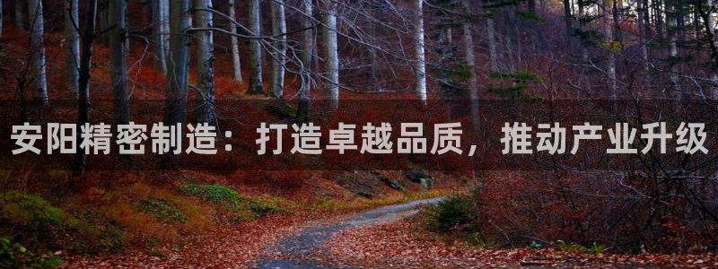 彩神是正规平台吗是真的吗：安阳精密制造：打造卓越品质，推动产业升级