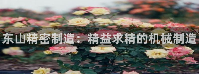 彩神V8平台：东山精密制造：精益求精的机械制造