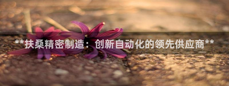彩神v8是一个什么平台啊：**扶桑精密制造：创新自动化的领先供应商**