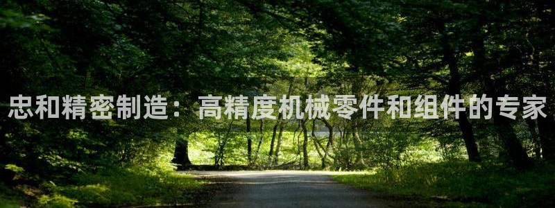 彩神8是正规平台吗知乎：忠和精密制造：高精度机械零件和组件的专家