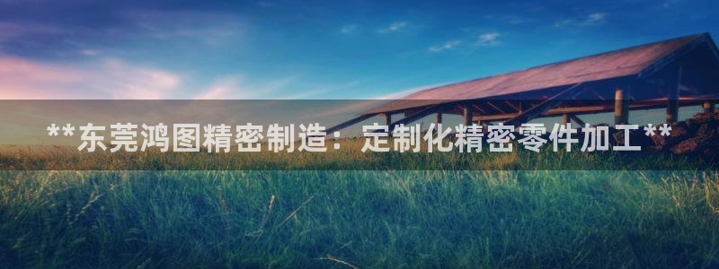 彩神8app官方下载：**东莞鸿图精密制造：定制化精密零件加工**