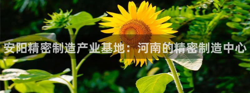 彩神ios下载：安阳精密制造产业基地：河南的精密制造中心