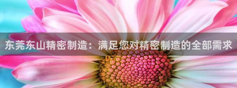 彩神v8客户端：东莞东山精密制造：满足您对精密制造的全部需求