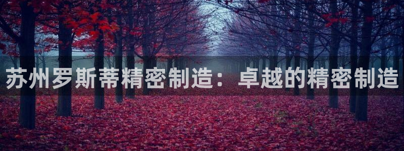 彩神ⅴll是什么样平台：苏州罗斯蒂精密制造：卓越的精密制造