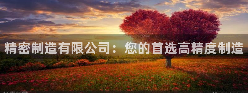 彩神购彩-购彩大厅入口老版：精密制造有限公司：您的首选高精度制造