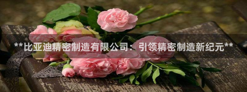 彩神8下载安卓版-彩神8(可提现)官网版1.0.0：**比亚迪精密制造有限公司：引领精密制造新纪元**