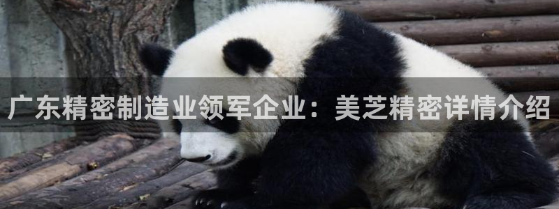 彩神vlll游戏特色：广东精密制造业领军企业：美芝精密详情介绍