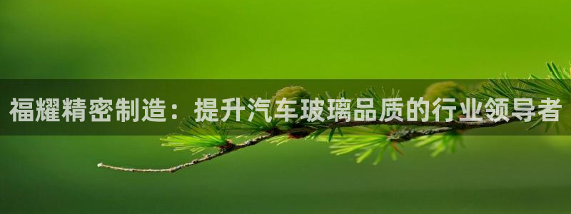 彩神是怎样一个平台：福耀精密制造：提升汽车玻璃品质的行业领导者