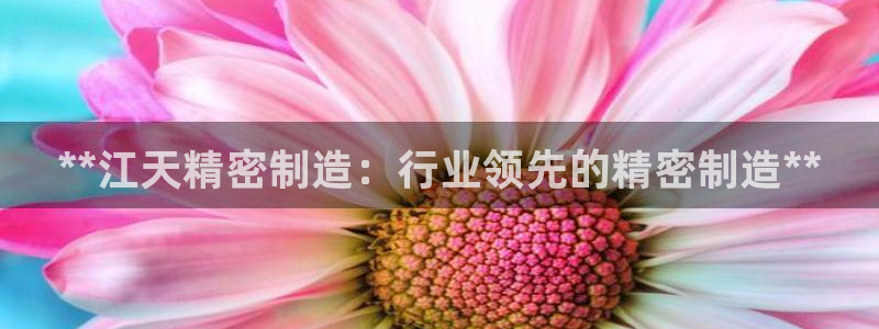 彩神v网赌软件下载：**江天精密制造：行业领先的精密制造**
