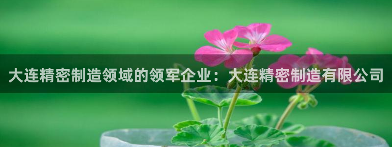 下载彩神乐发V1：大连精密制造领域的领军企业：大连精密制造有限公司