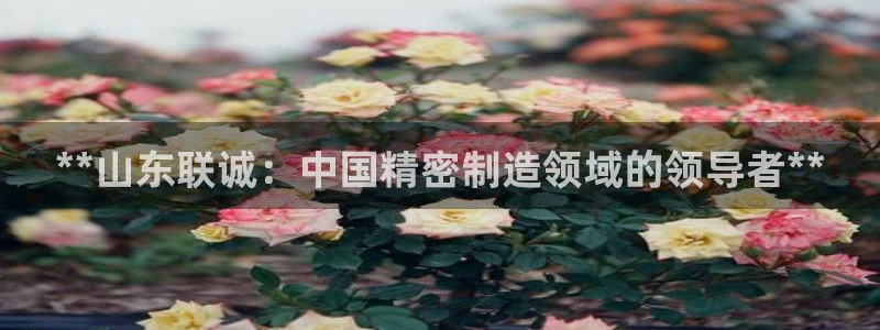 彩神vll购彩大厅大众：**山东联诚：中国精密制造领域的领导者**