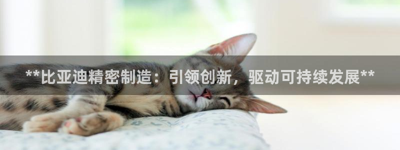 下载彩神v8：**比亚迪精密制造：引领创新，驱动可持续发展**