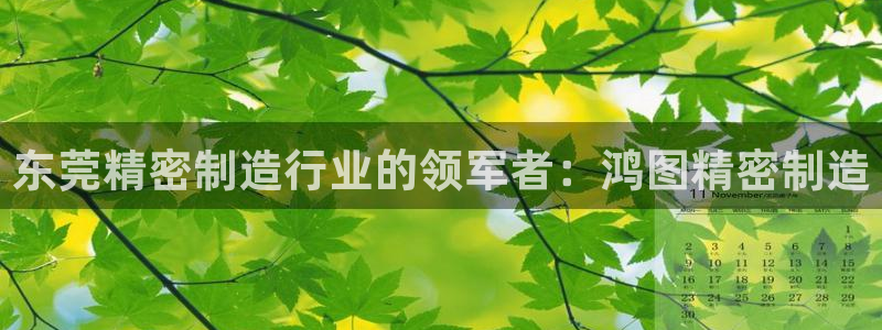 彩神平台之间是什么关系：东莞精密制造行业的领军者：鸿图精密制造