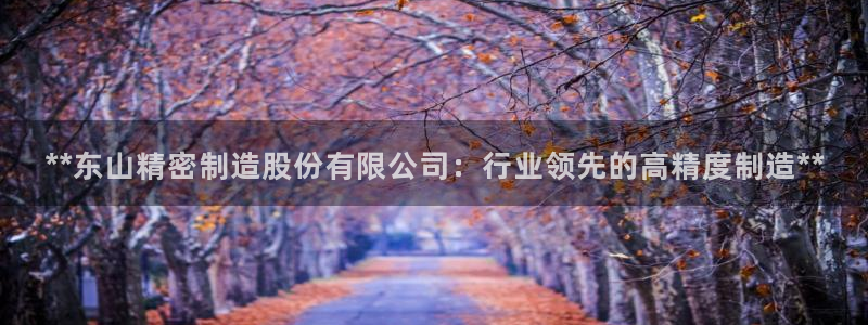 下载彩神v8：**东山精密制造股份有限公司：行业领先的高精度制造**