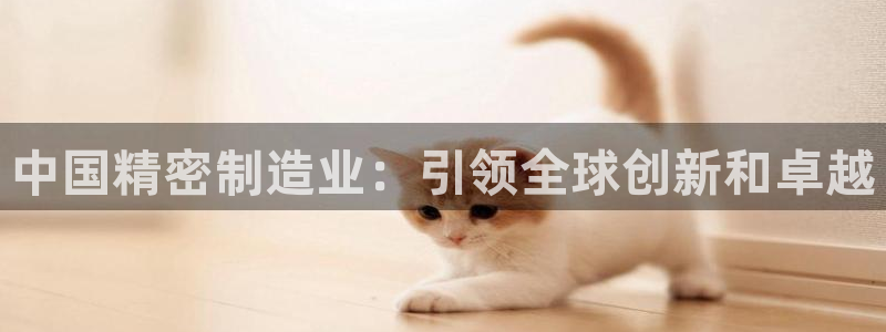 彩神趣购彩用户注册：中国精密制造业：引领全球创新和卓越