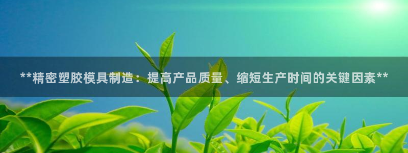 彩神争霸老平台：**精密塑胶模具制造：提高产品质量、缩短生产时间的关键因素**