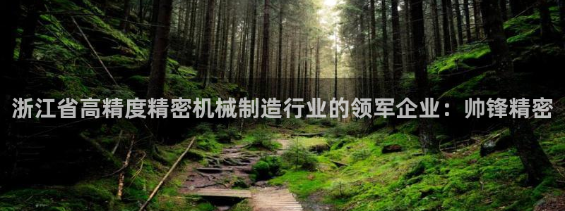 彩神争霸官方下载：浙江省高精度精密机械制造行业的领军企业：帅锋精密