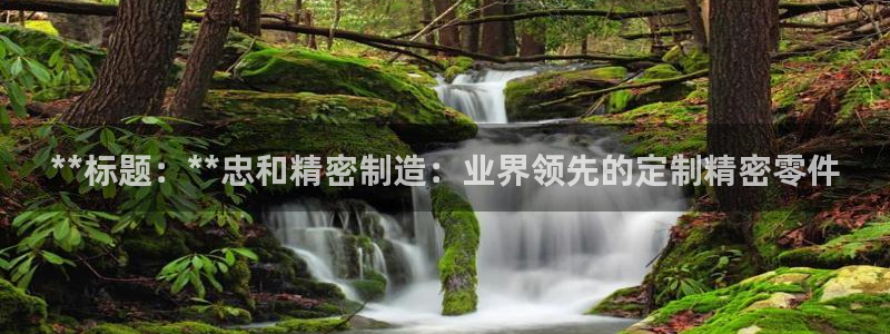 彩神平台是什么套路：**标题：**忠和精密制造：业界领先的定制精密零件