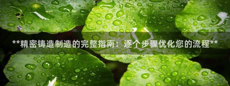 彩神V官网：**精密铸造制造的完整指南：逐个步骤优化您的流程**