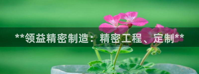 下载彩神乐发V1：**领益精密制造：精密工程、定制**