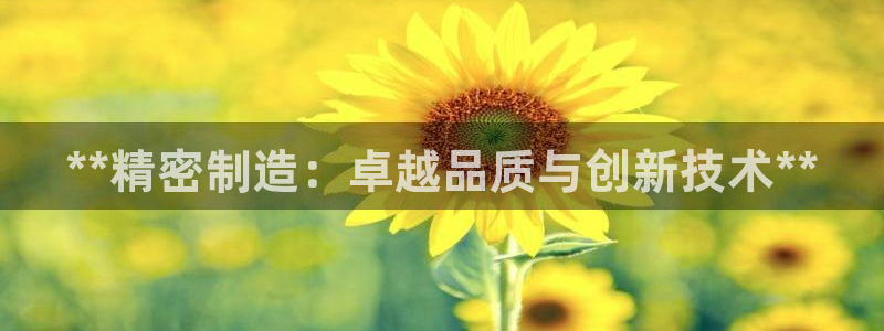 彩神8下载安卓版-彩神8(可提现)官网版1.0.0：**精密制造：卓越品质与创新技术**