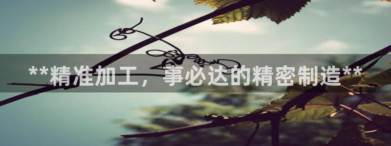 在彩神网输了六万多怎么拿回来：**精准加工，事必达的精密制造**