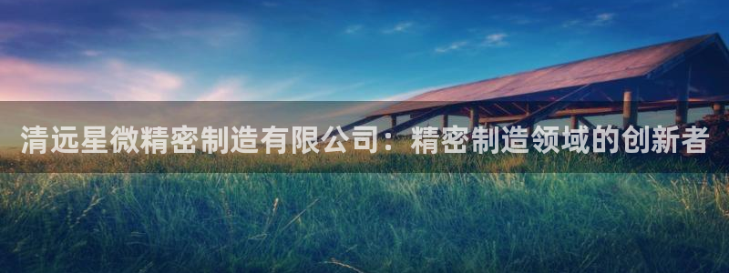 彩神Vii购彩-购彩大厅：清远星微精密制造有限公司：精密制造领域的创新者