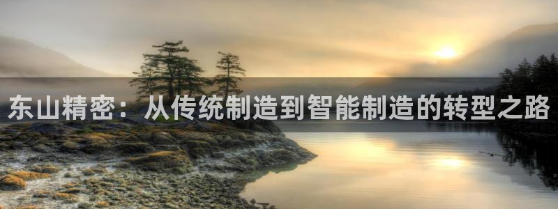 彩神赢的钱是哪里来的：东山精密：从传统制造到智能制造的转型之路