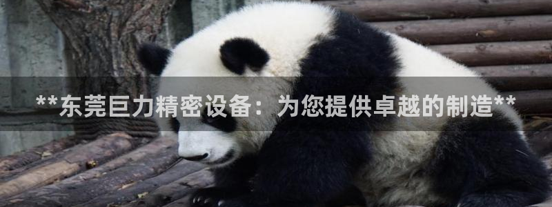 彩神v违法么：**东莞巨力精密设备：为您提供卓越的制造**